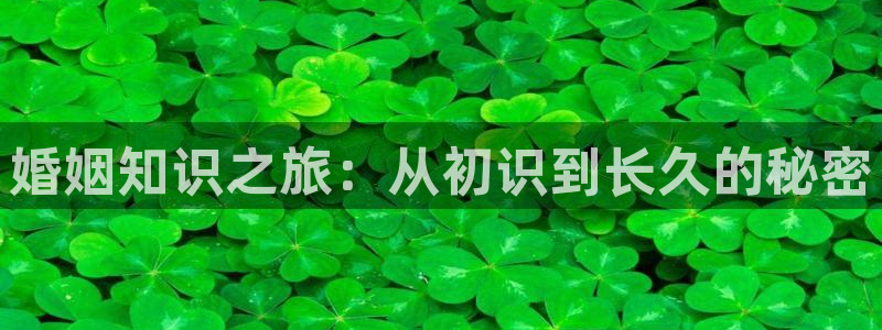 欢度巴士小说