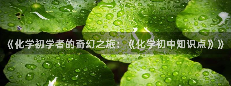 巴士小说下载：《化学初学者的奇幻之旅：《化学初中知识点》》